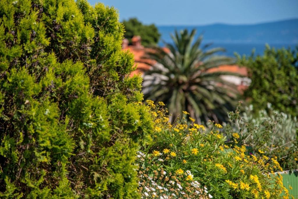 Apartment In Bol With Seaview, Terrace, Air Condition, Wifi Esterno foto